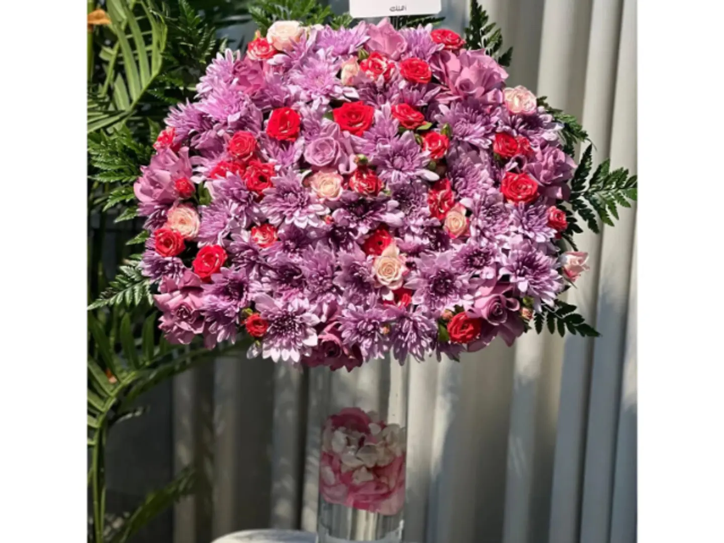 الفازة 5