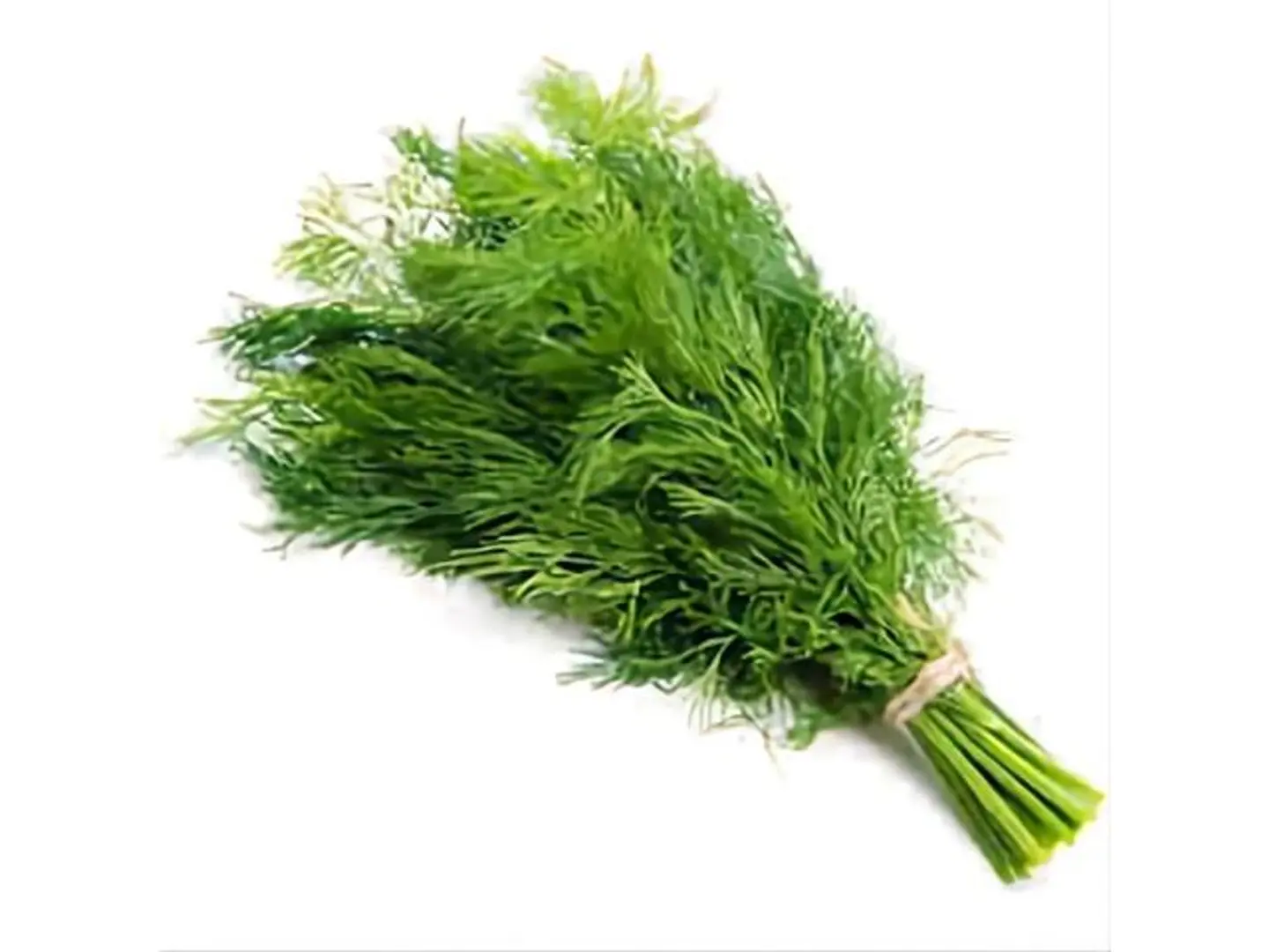 Dill