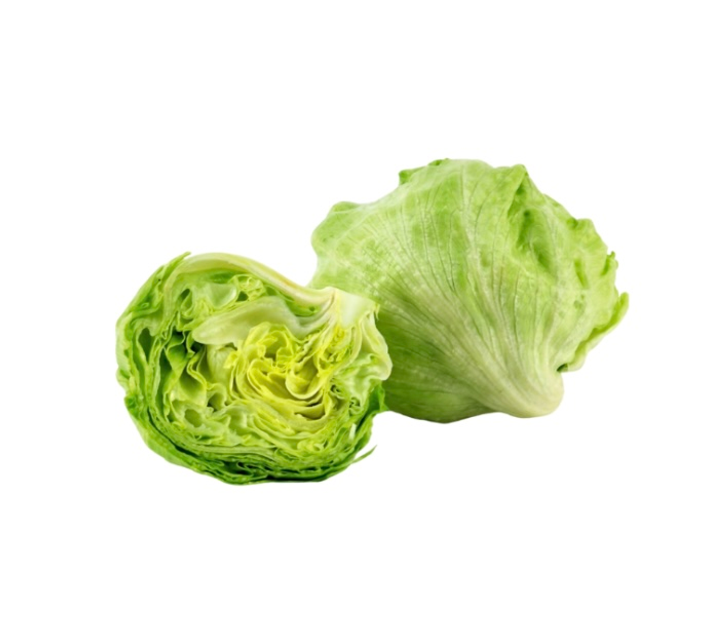 American Lettuce 1 Piece