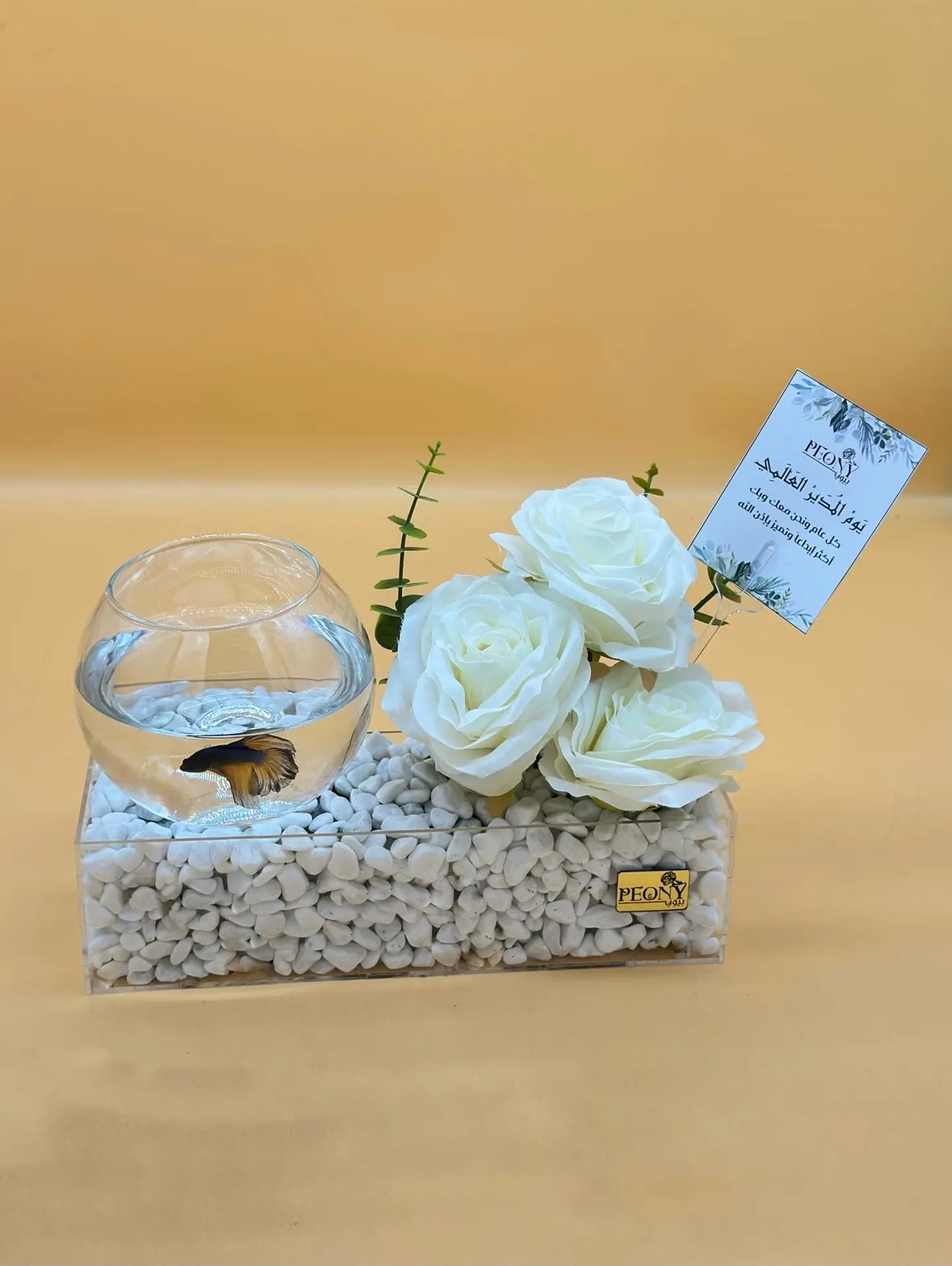 Fish Tank Arrangement For Boss's Day