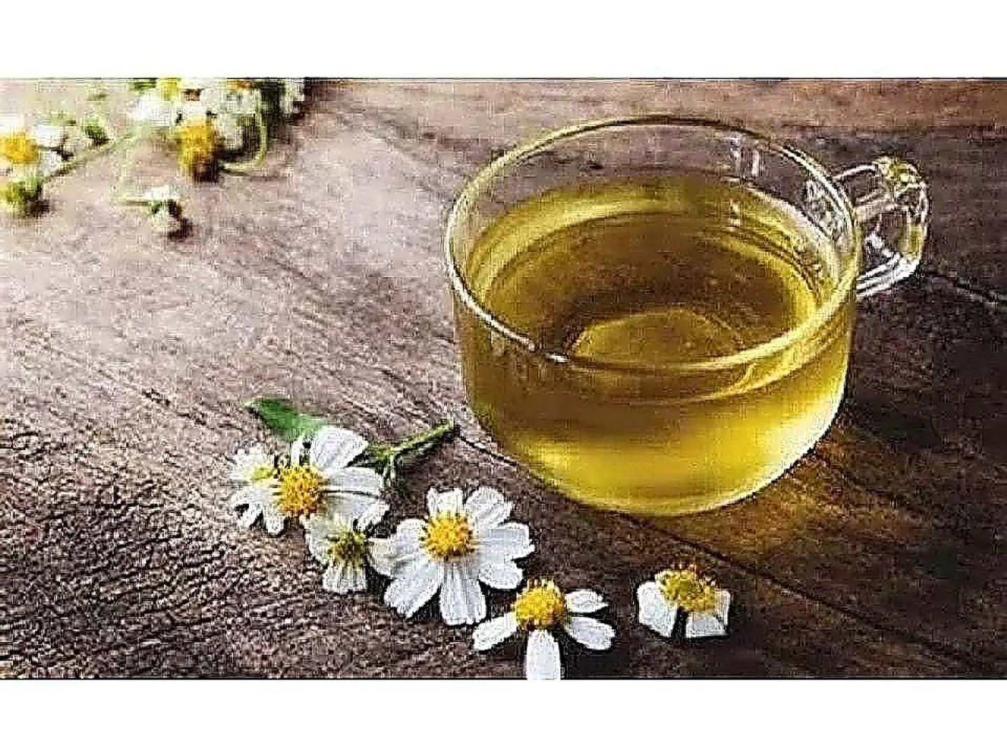شاي ينسون