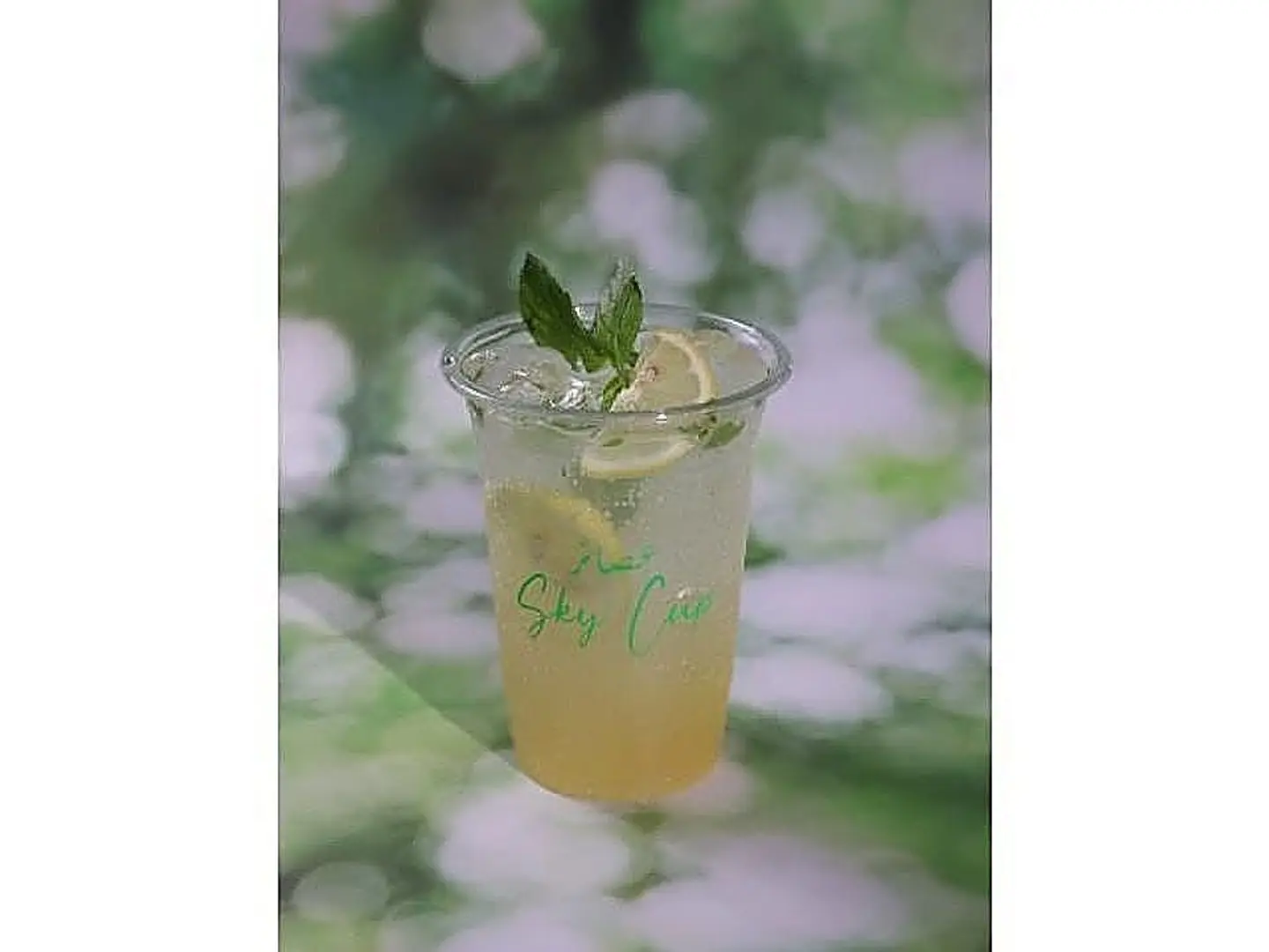 Passion Fruit Mojito
