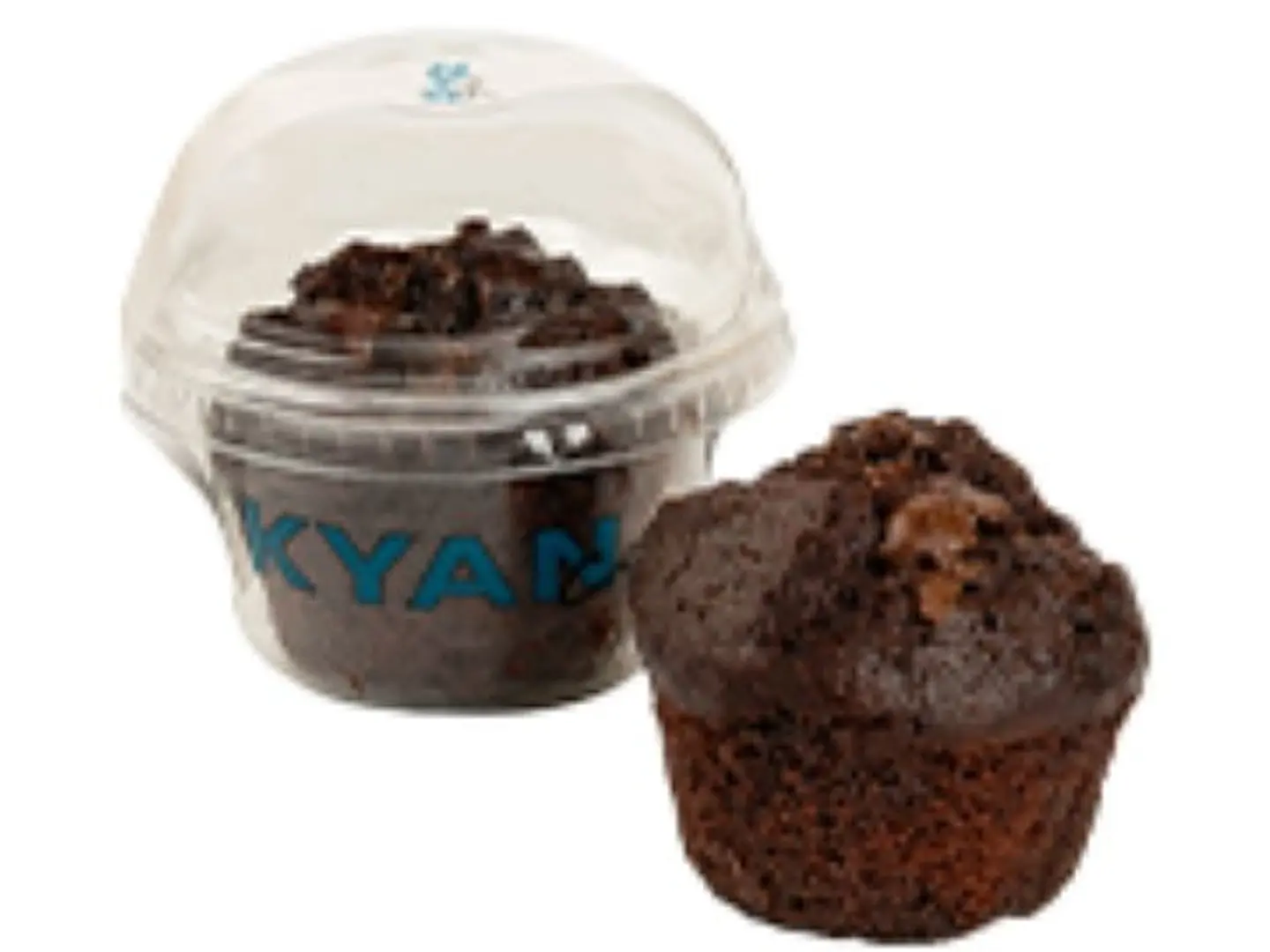 Chocolate Muffin
