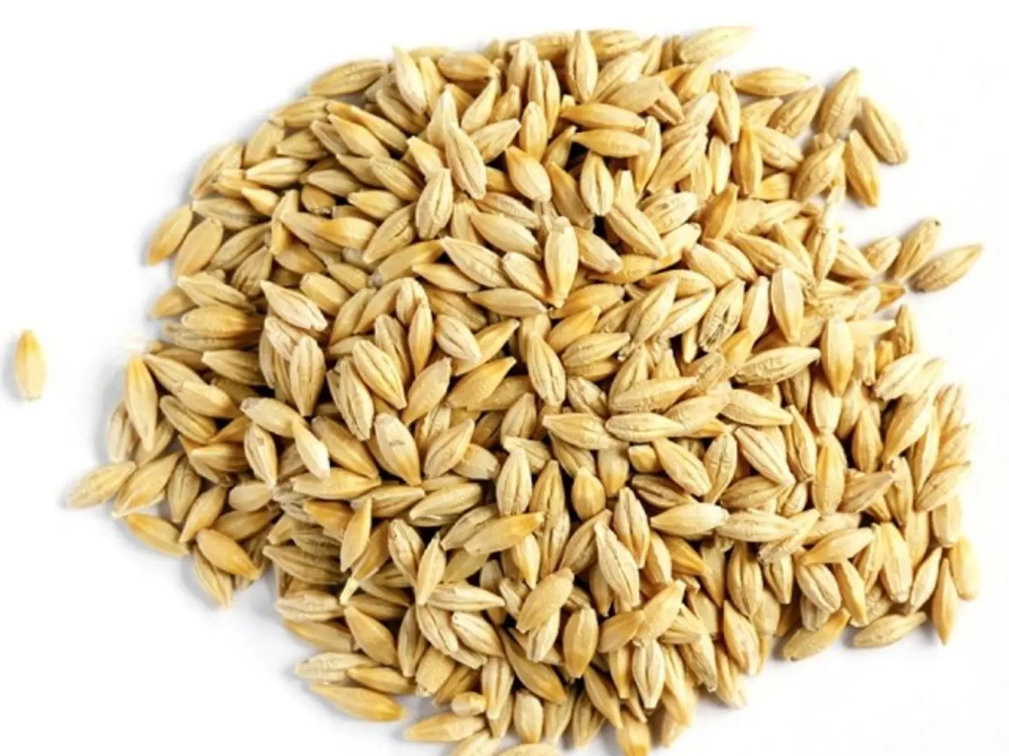 شعير بلدي فاخر كيلو - كيلو