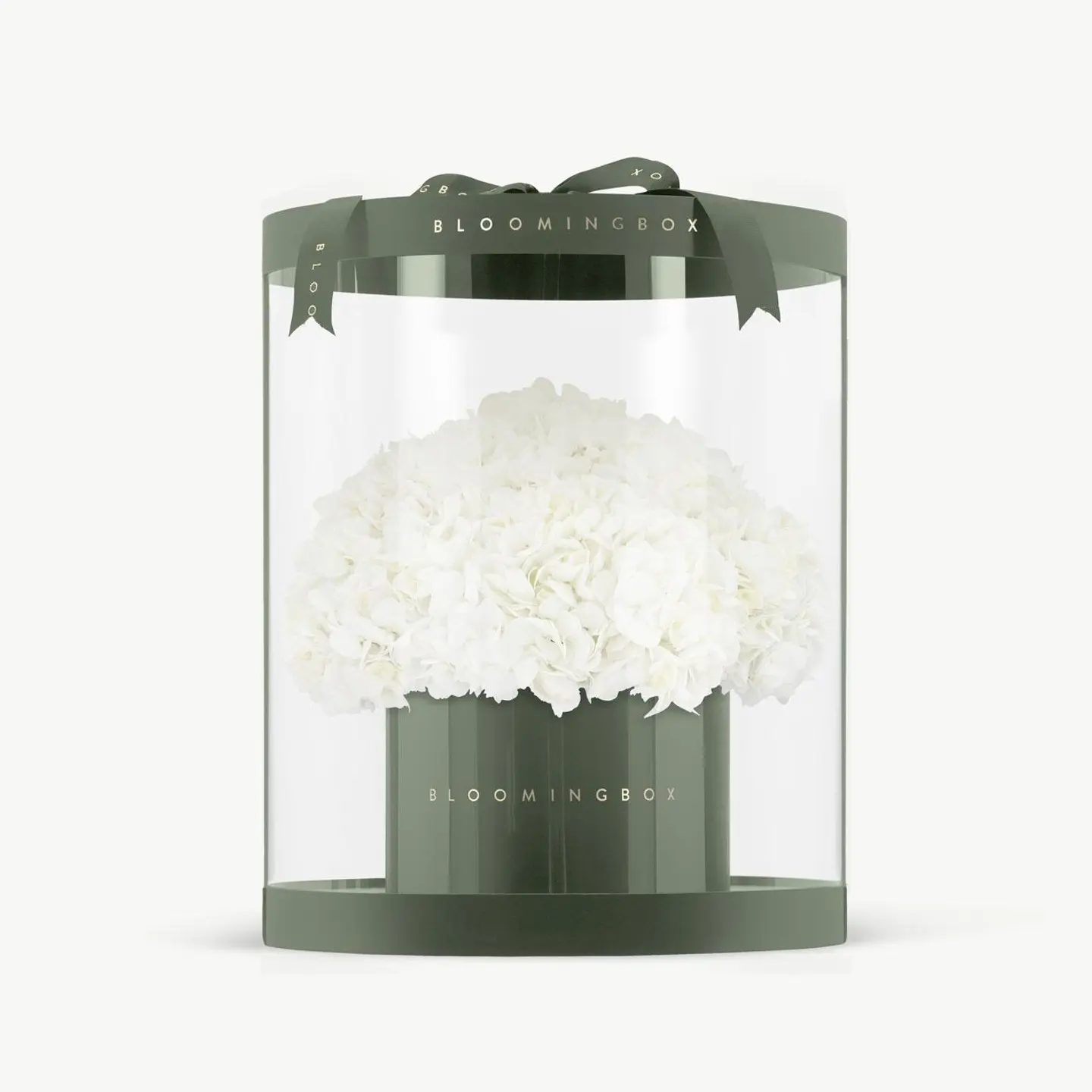 Premium Hydrangeas Box Large