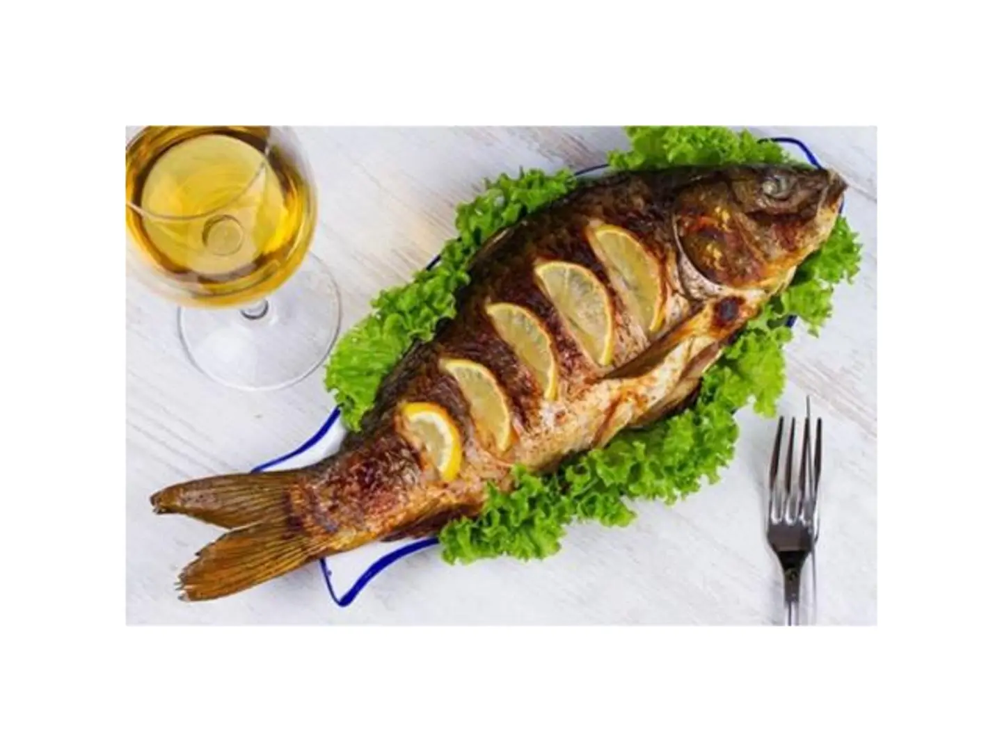 Grouper Fish