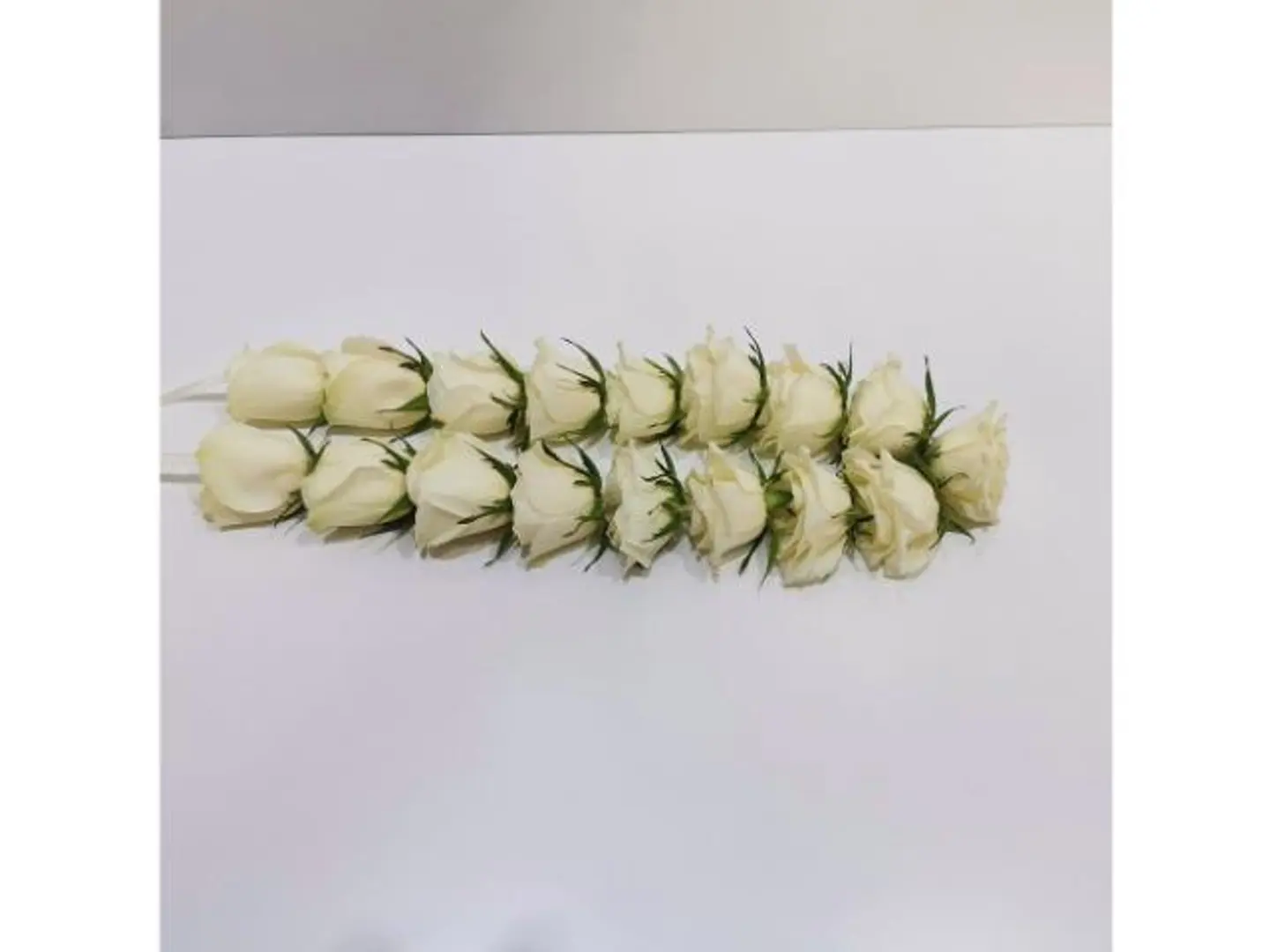 عقد ورد