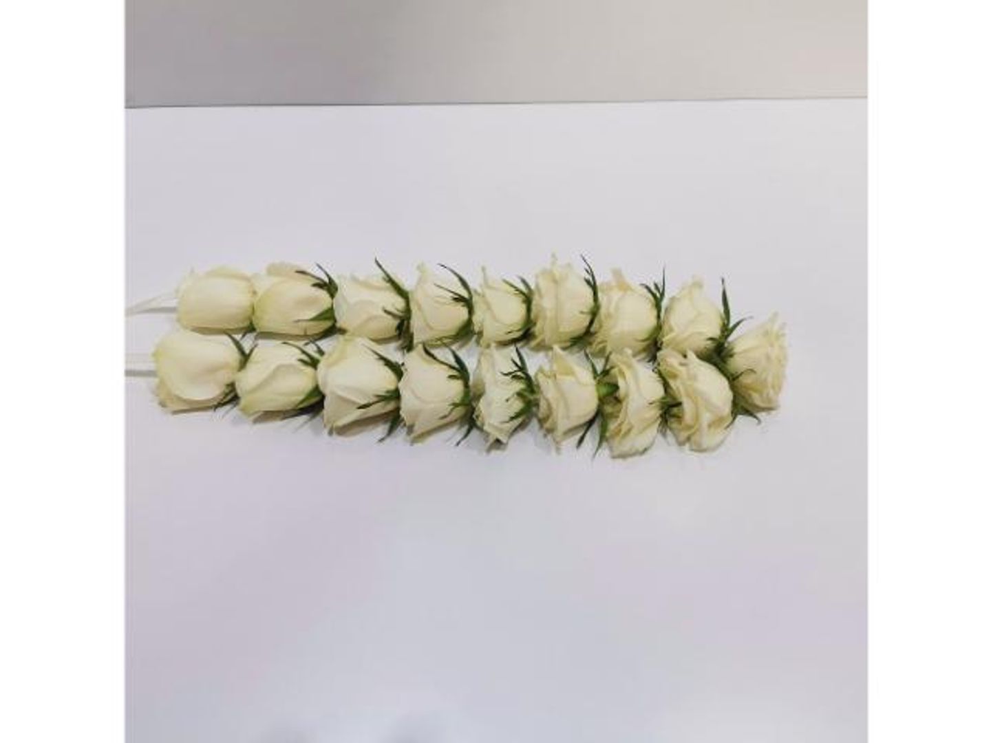 عقد ورد