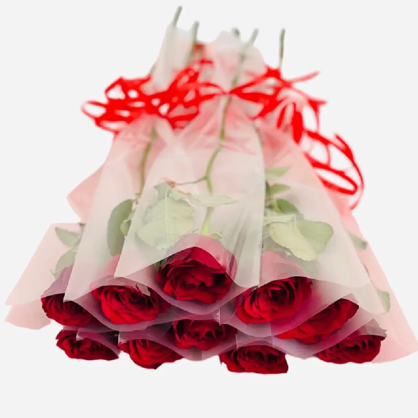 Single Roses 10 Stem 248