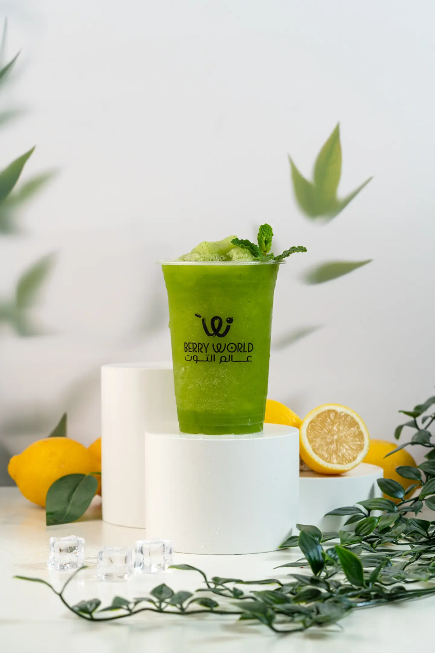 Lemon Mint Juice - Medium