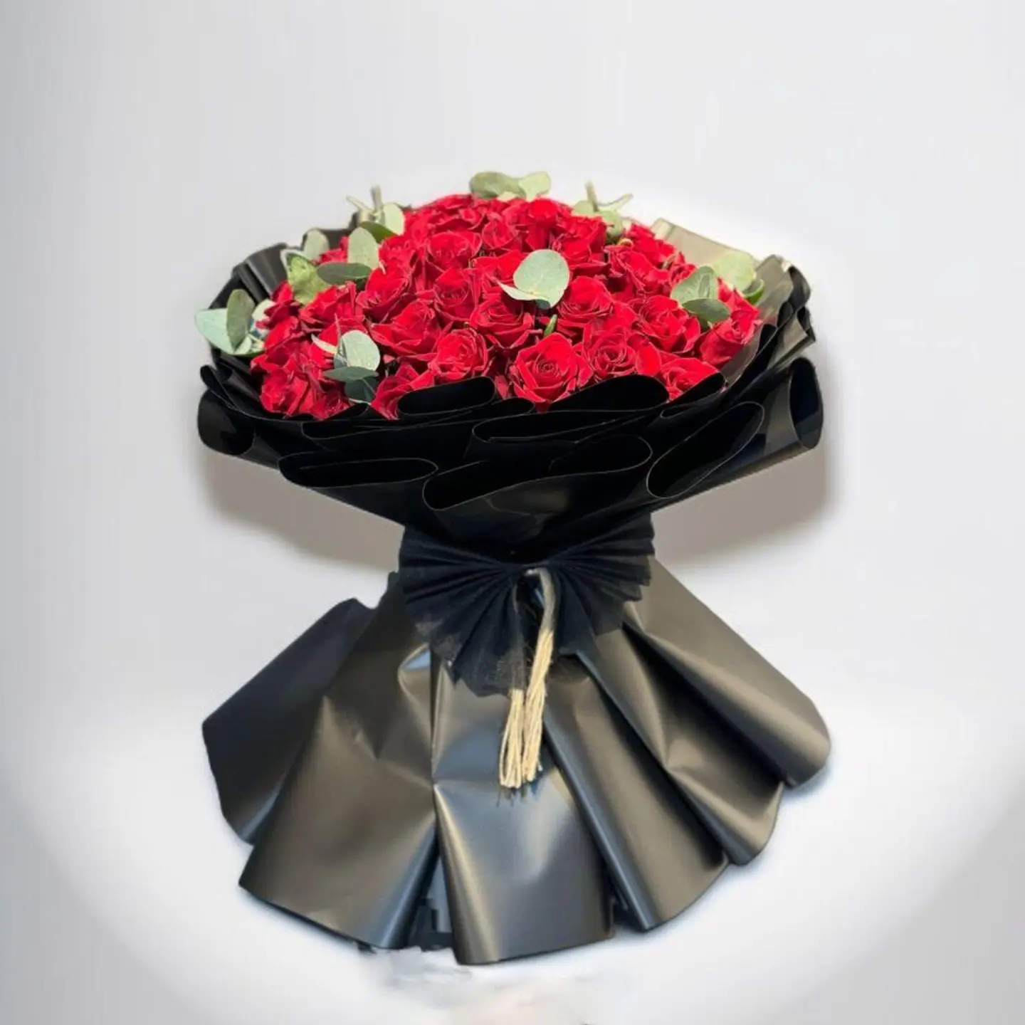 Love The Night And The Rose