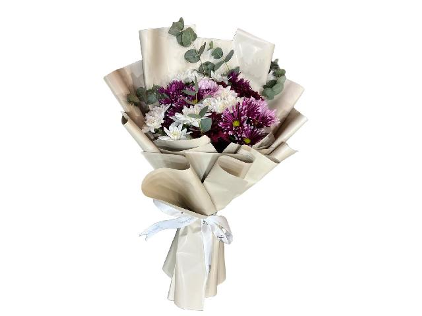 Sb Twilight Romance 193