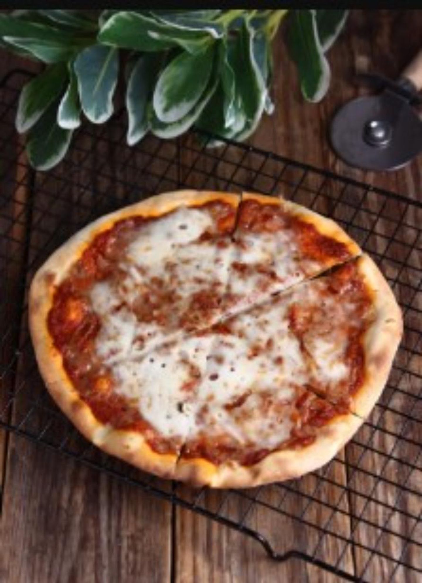 Cream Cheese With Tomatoes