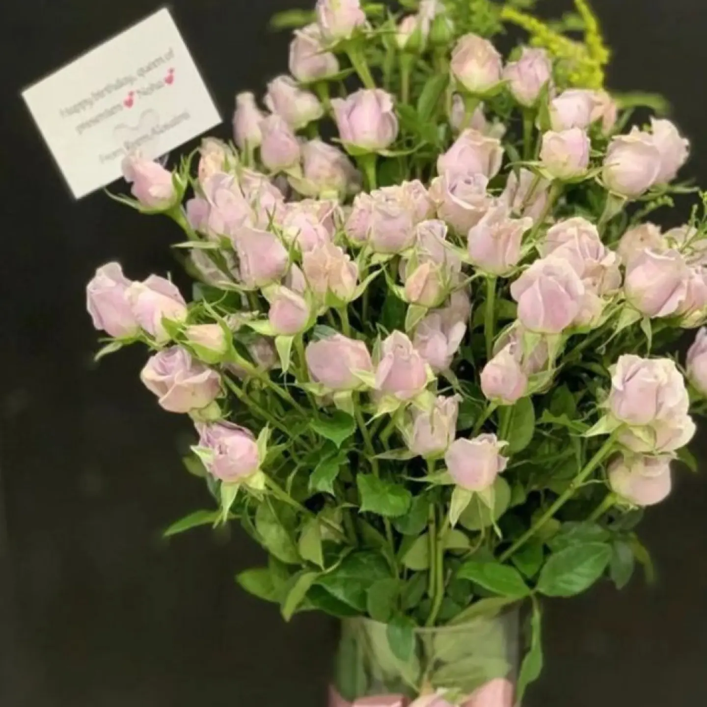 Vase Of Sheikhs