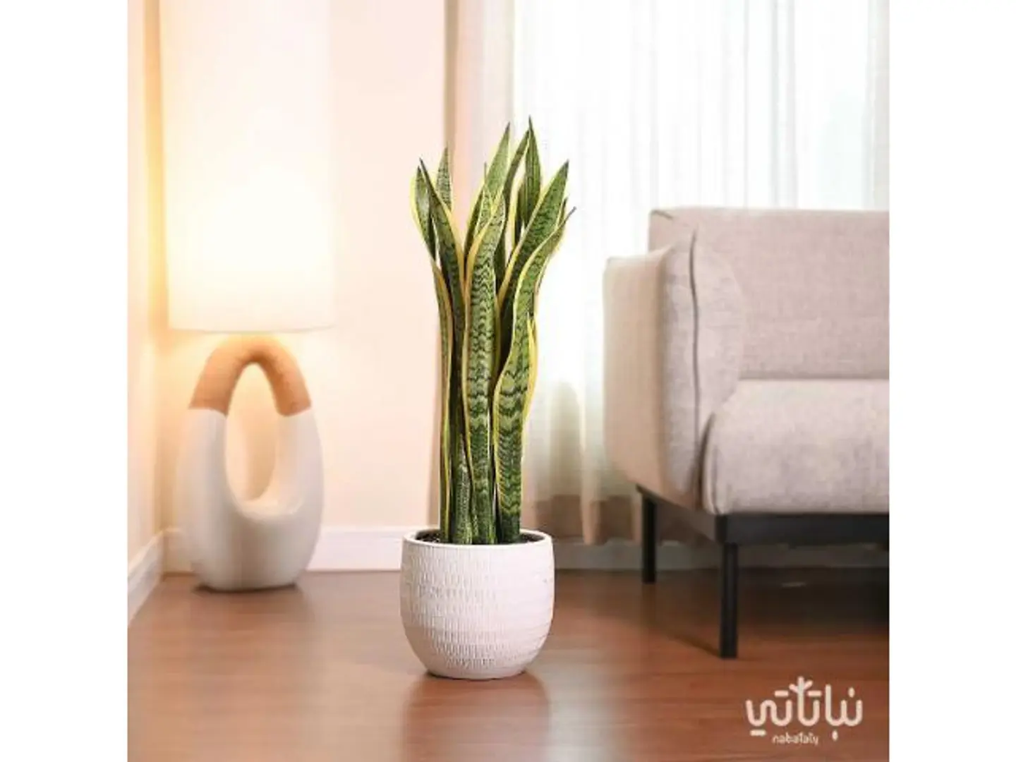 Snake Plant White Ceramic