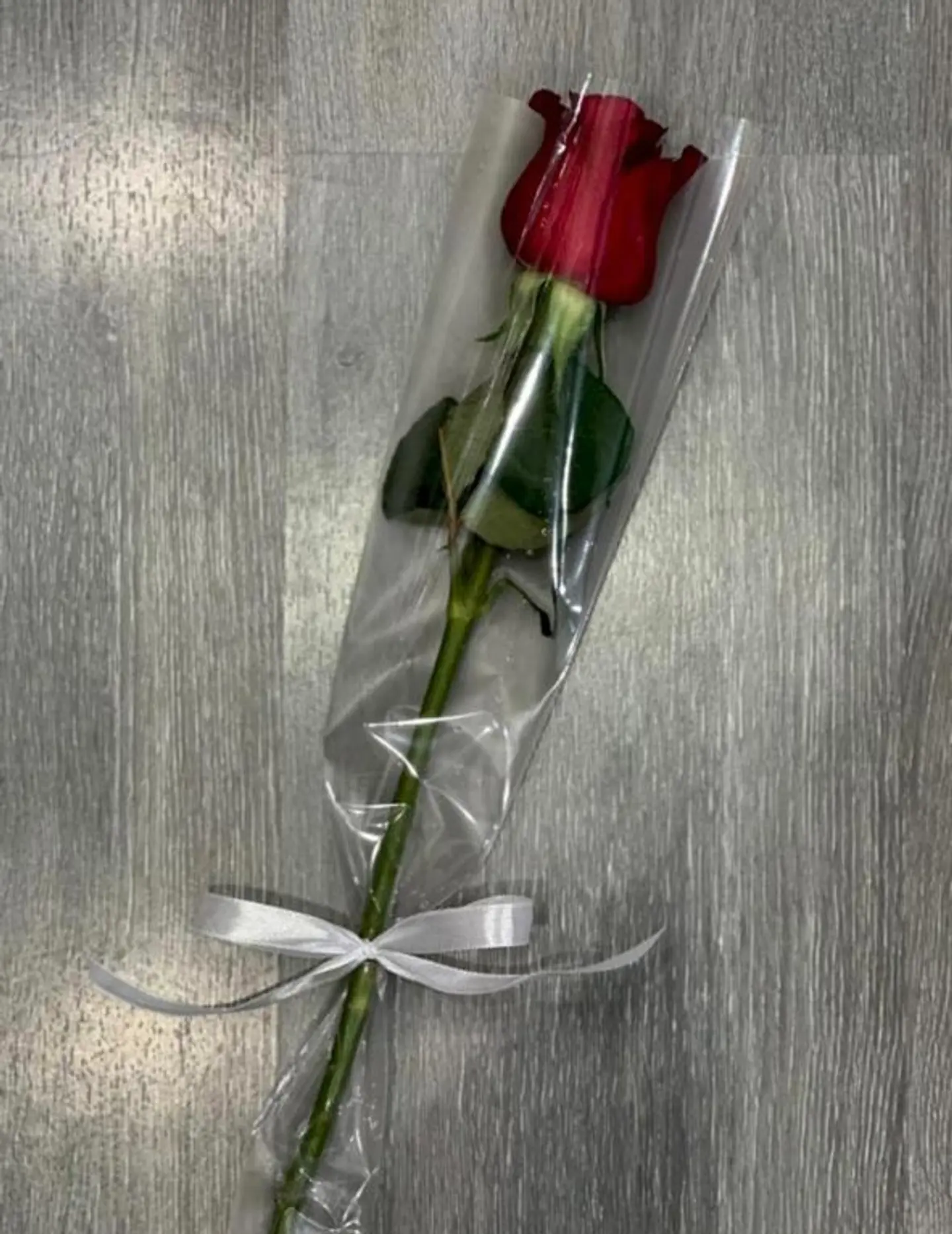 Cellophane Wrapped Rose