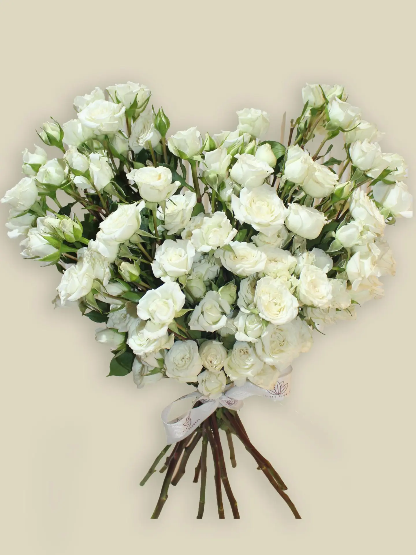 القلب الأبيض