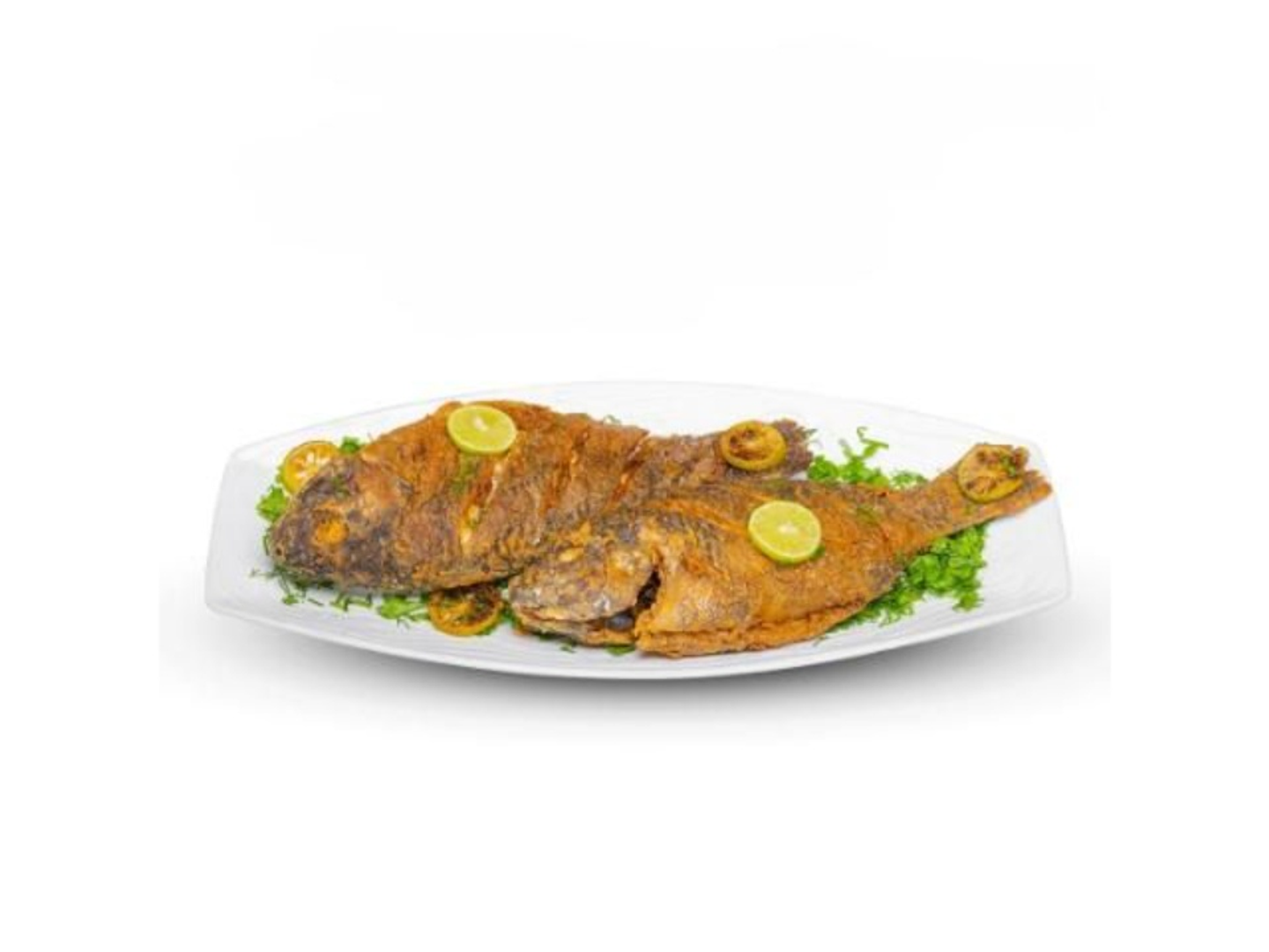 Tilapia