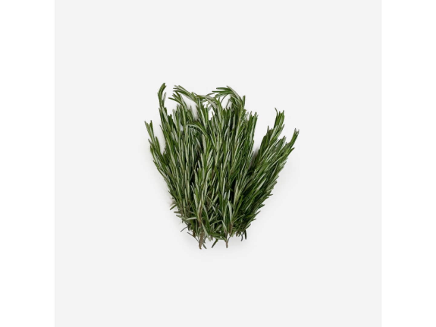 Organic Madinah Rosemary
