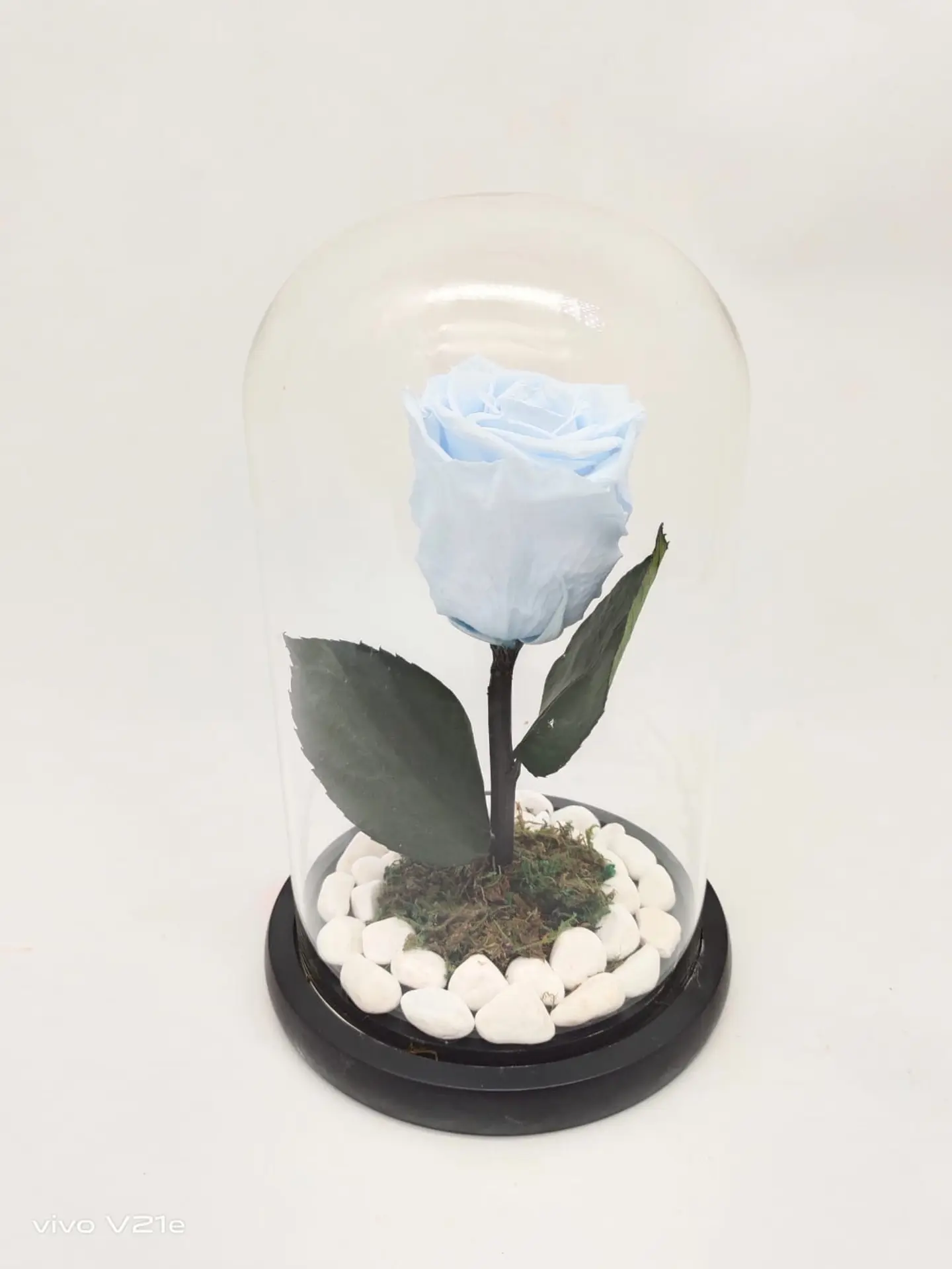 Permanent Natural Roses, Light Blue 0245