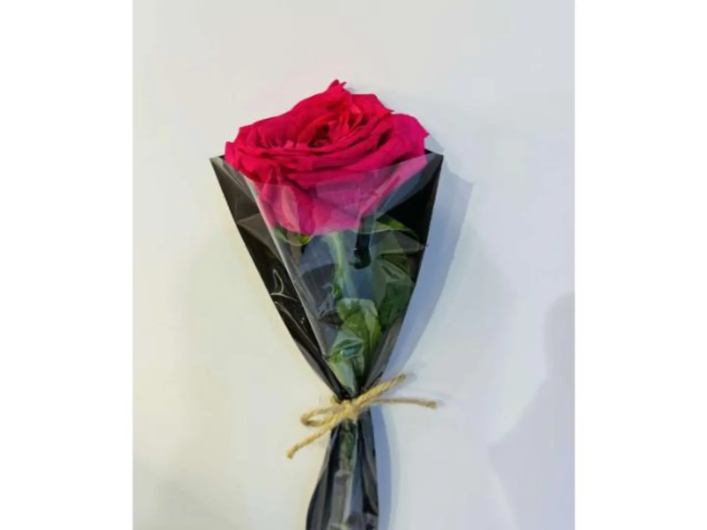 وردة جوري فوشي