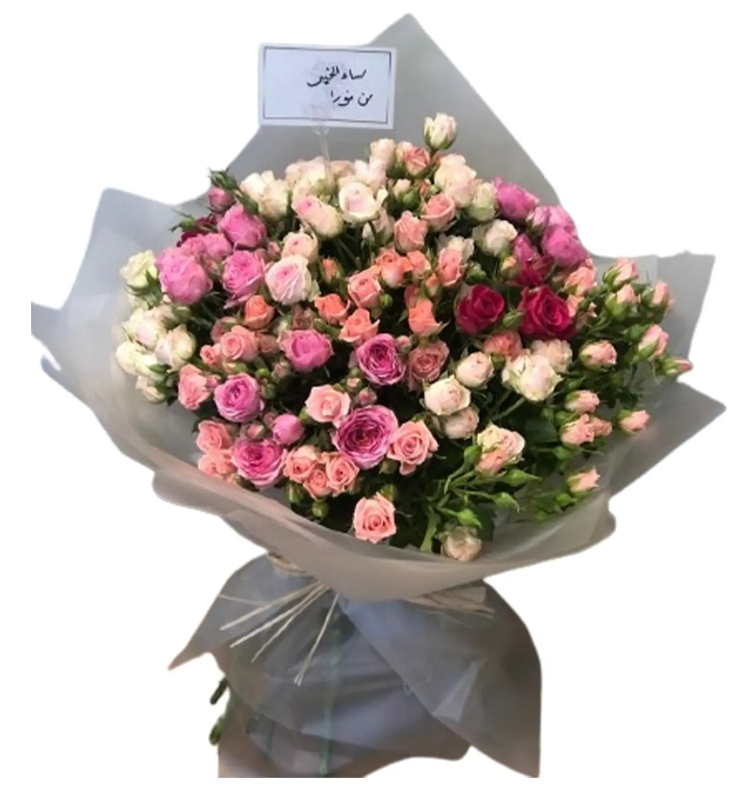 باقه لارين