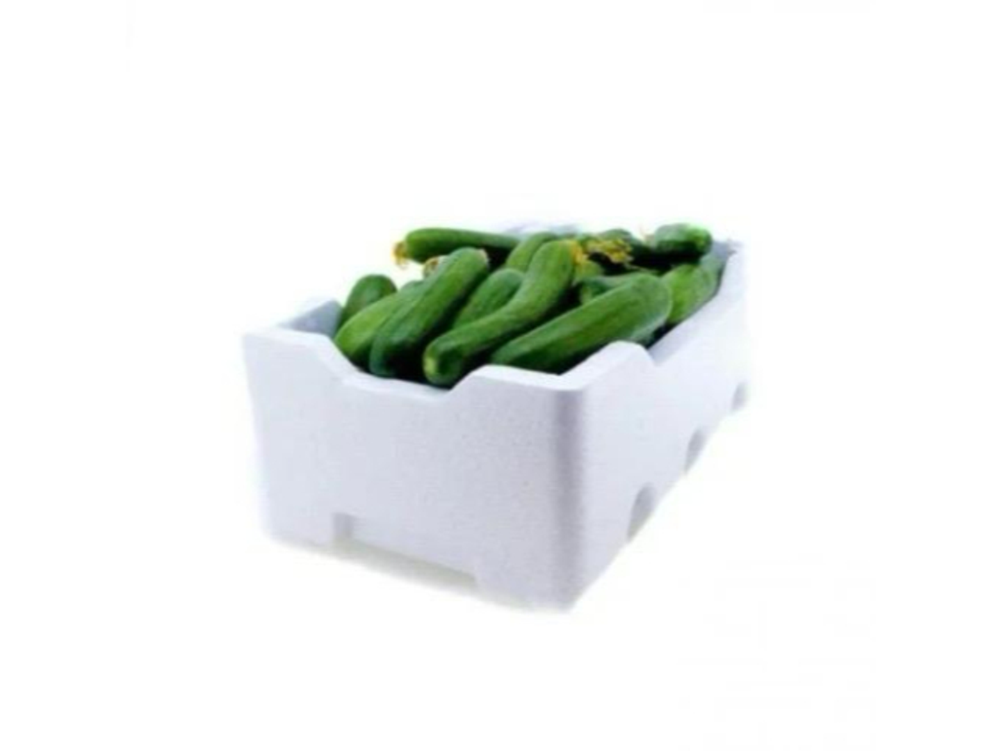 Cucumber Big Box