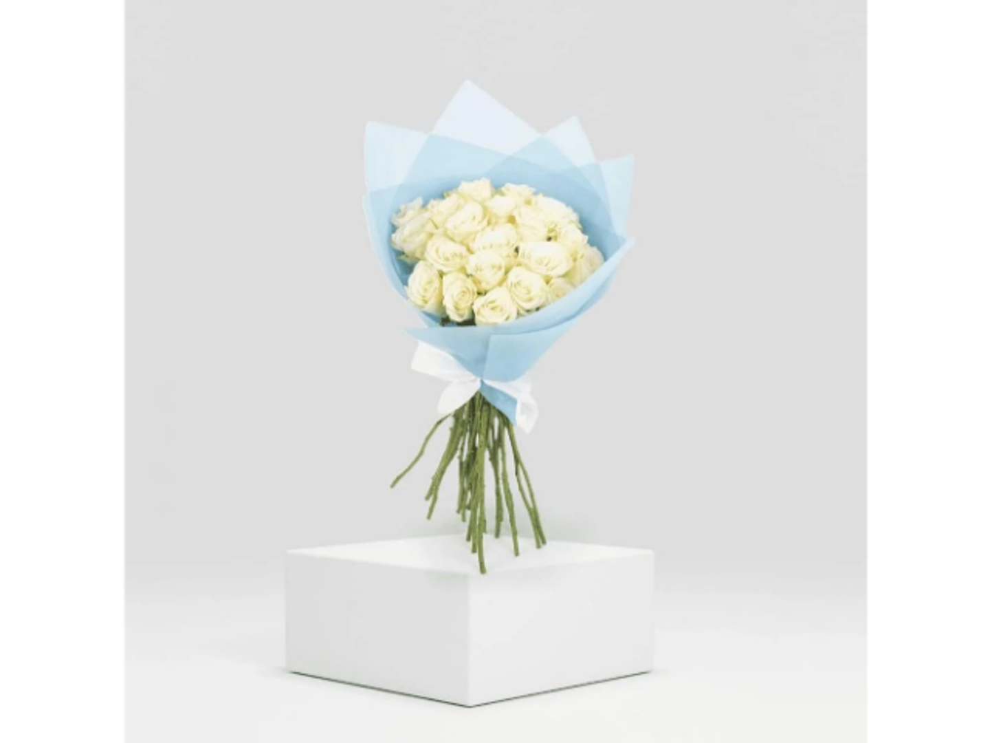 باقة نور السماء