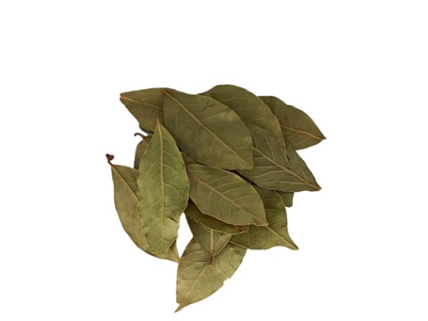 Bay Leaf