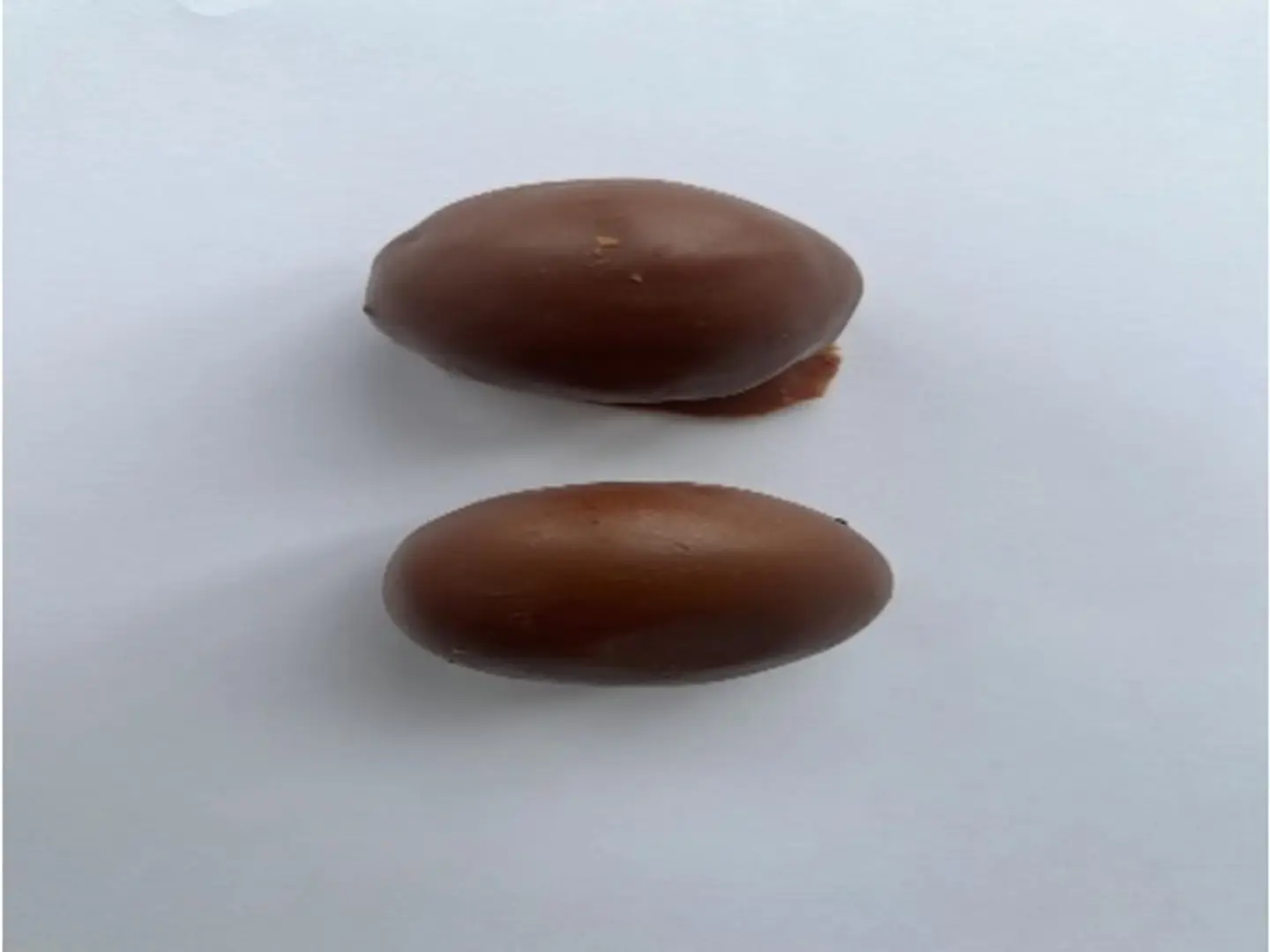 كورات شوكلت كرسبي
