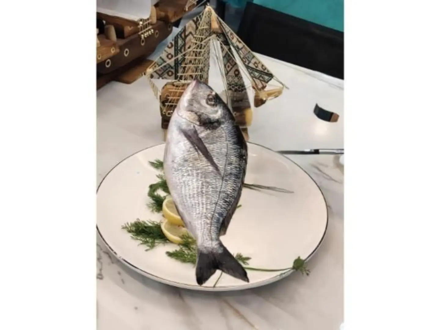 Sea Bream