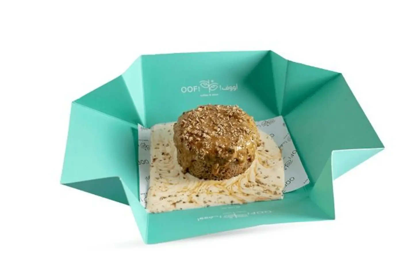 سيجنتشر أووف