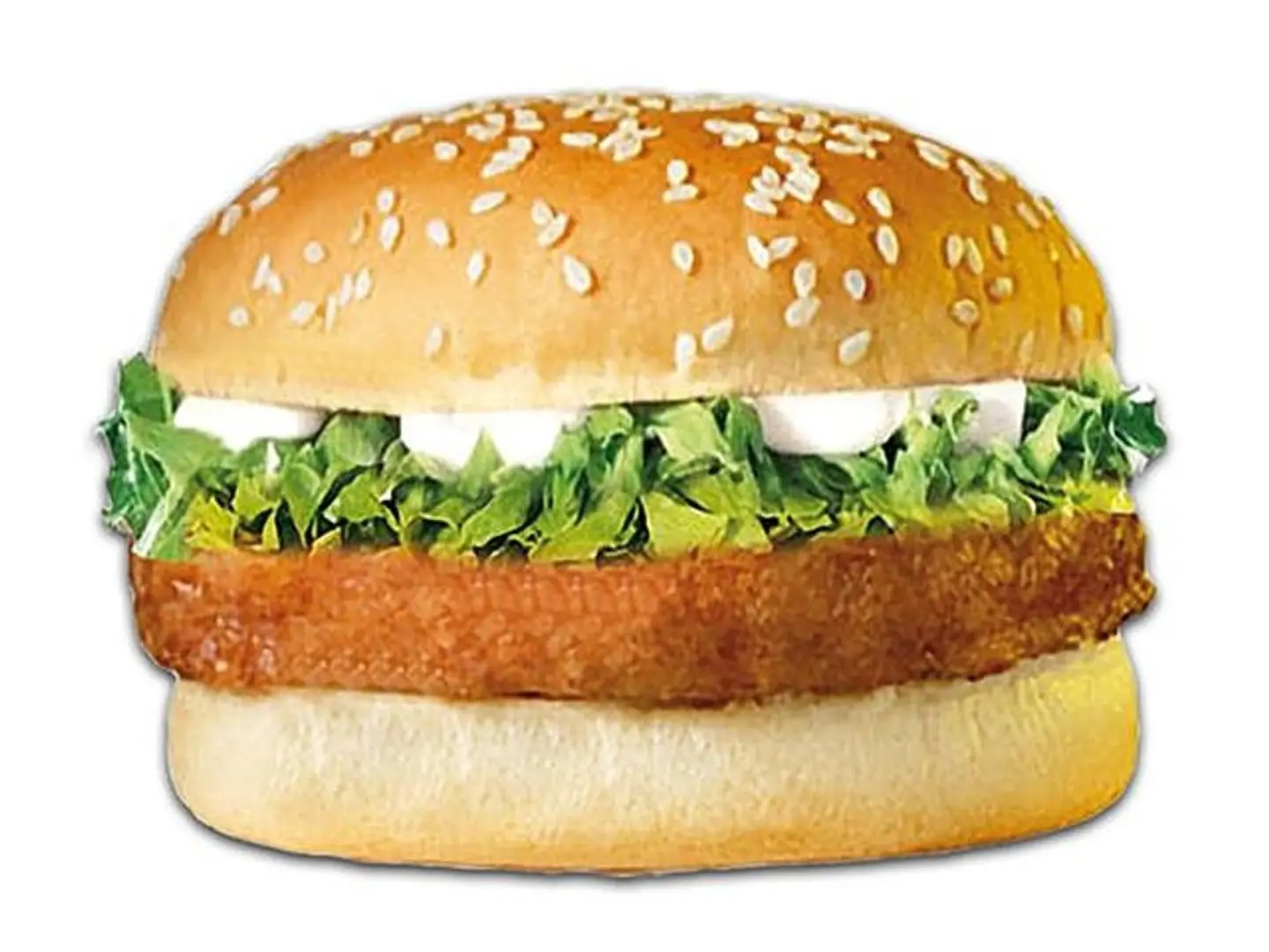 Chicken Burger With Cheese