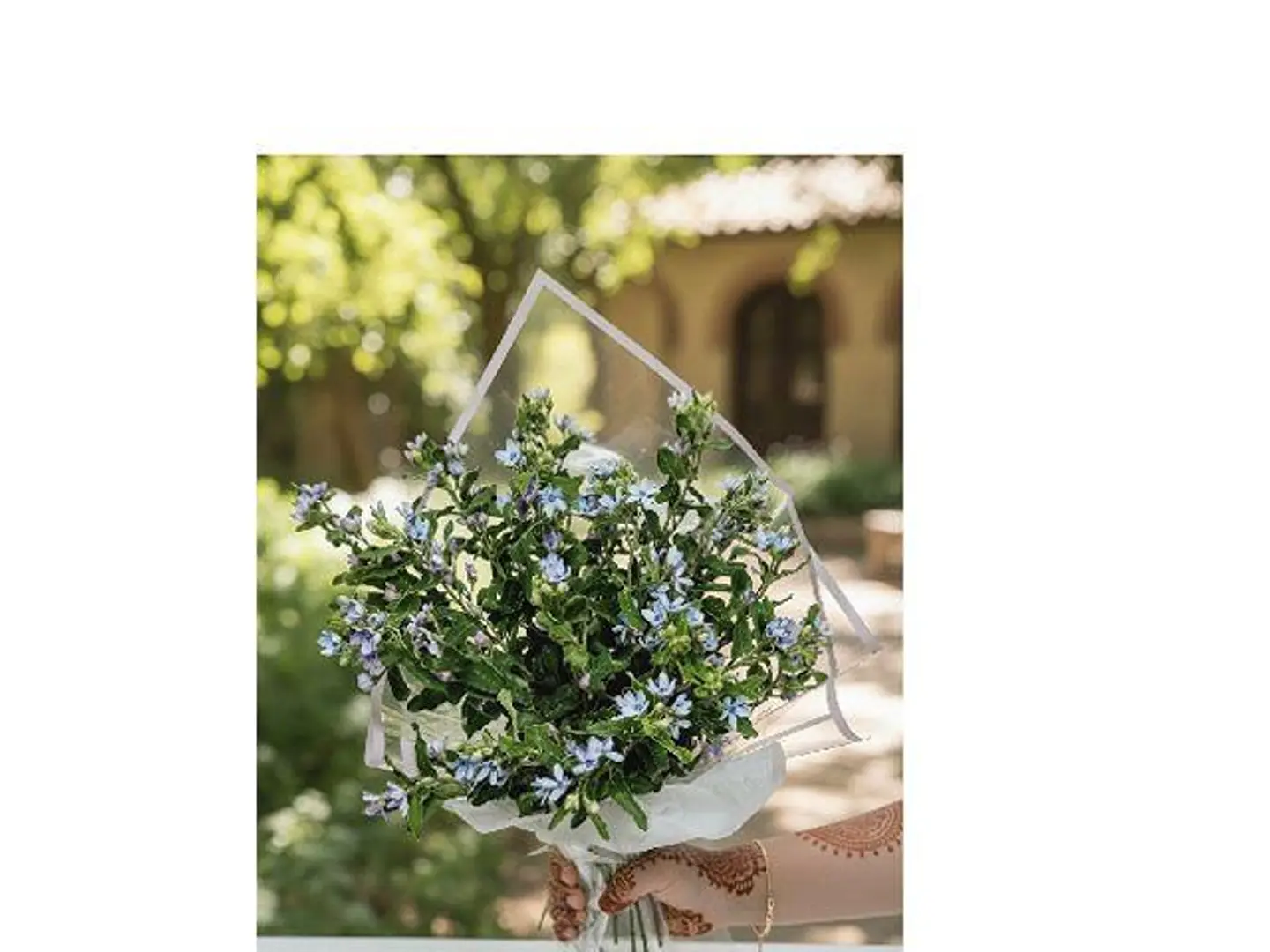 لافندر ميراج