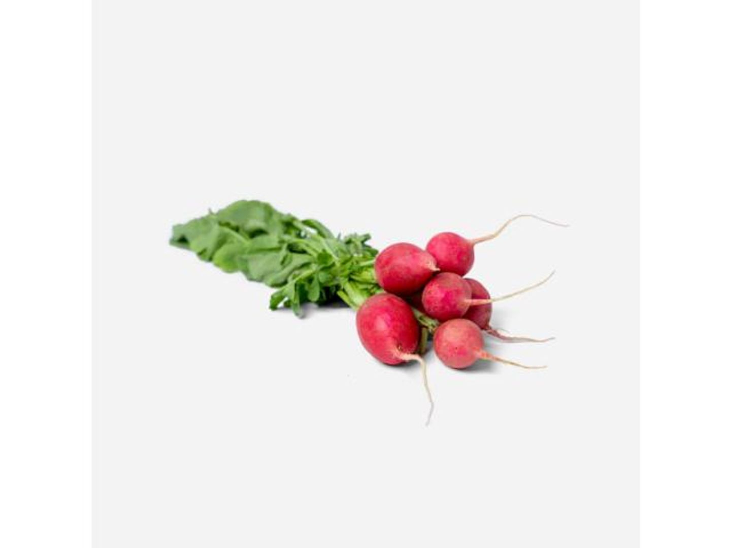 Red Radish