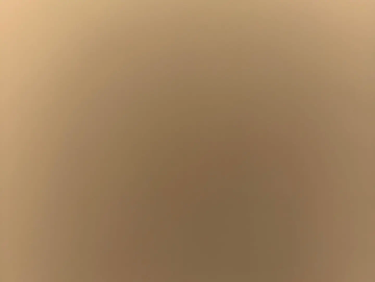 إيدام مشكل بالفرن