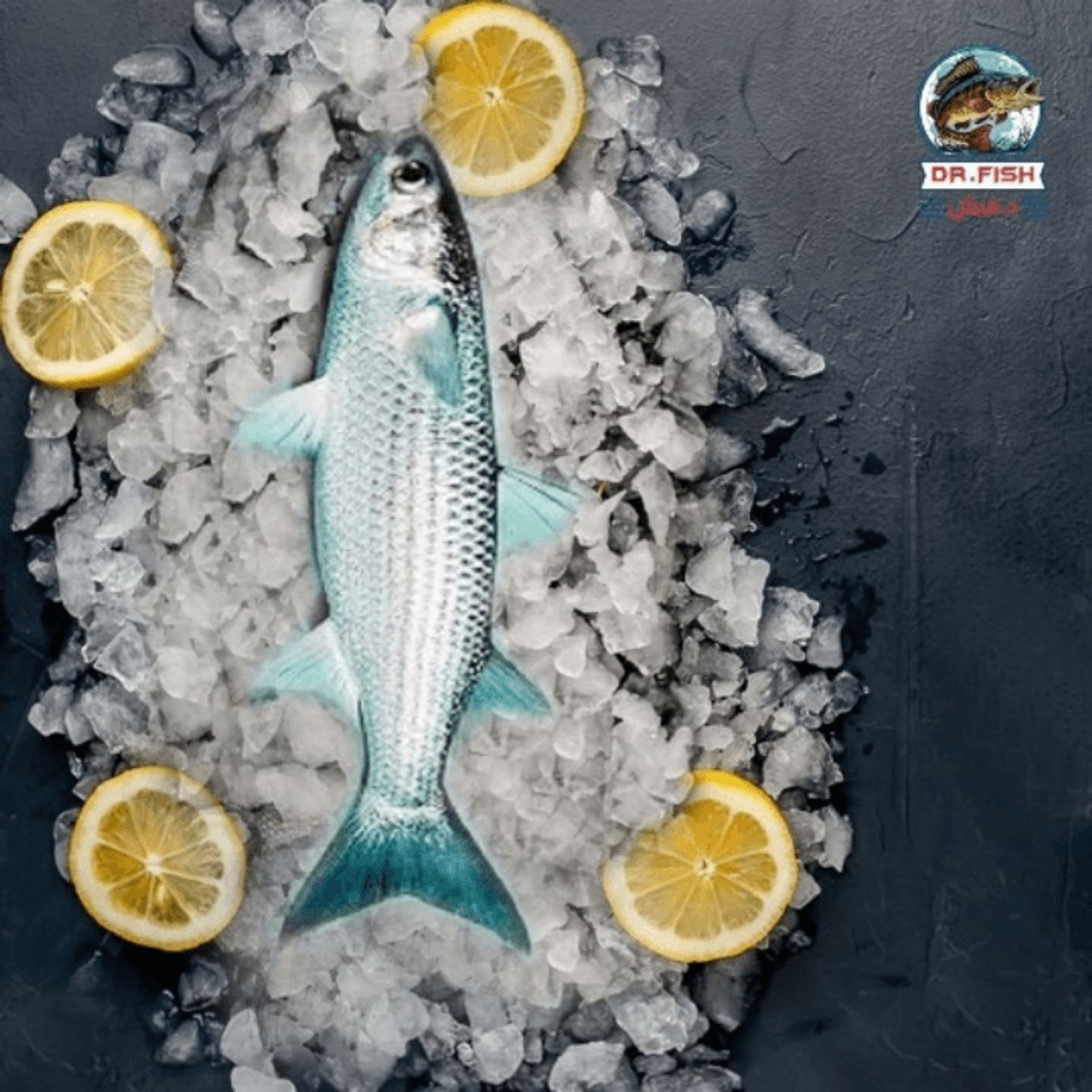 Mullet Fish 500 Gram