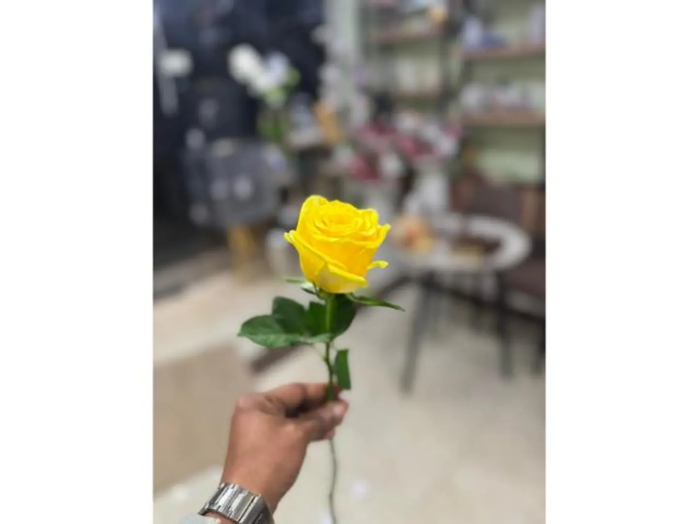 وردة جوري صفراء