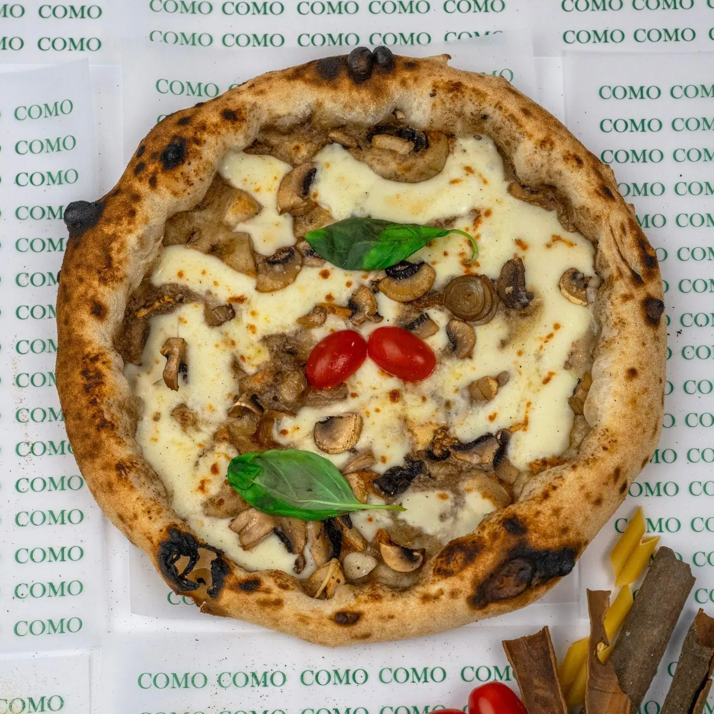 بيتزا ترافل