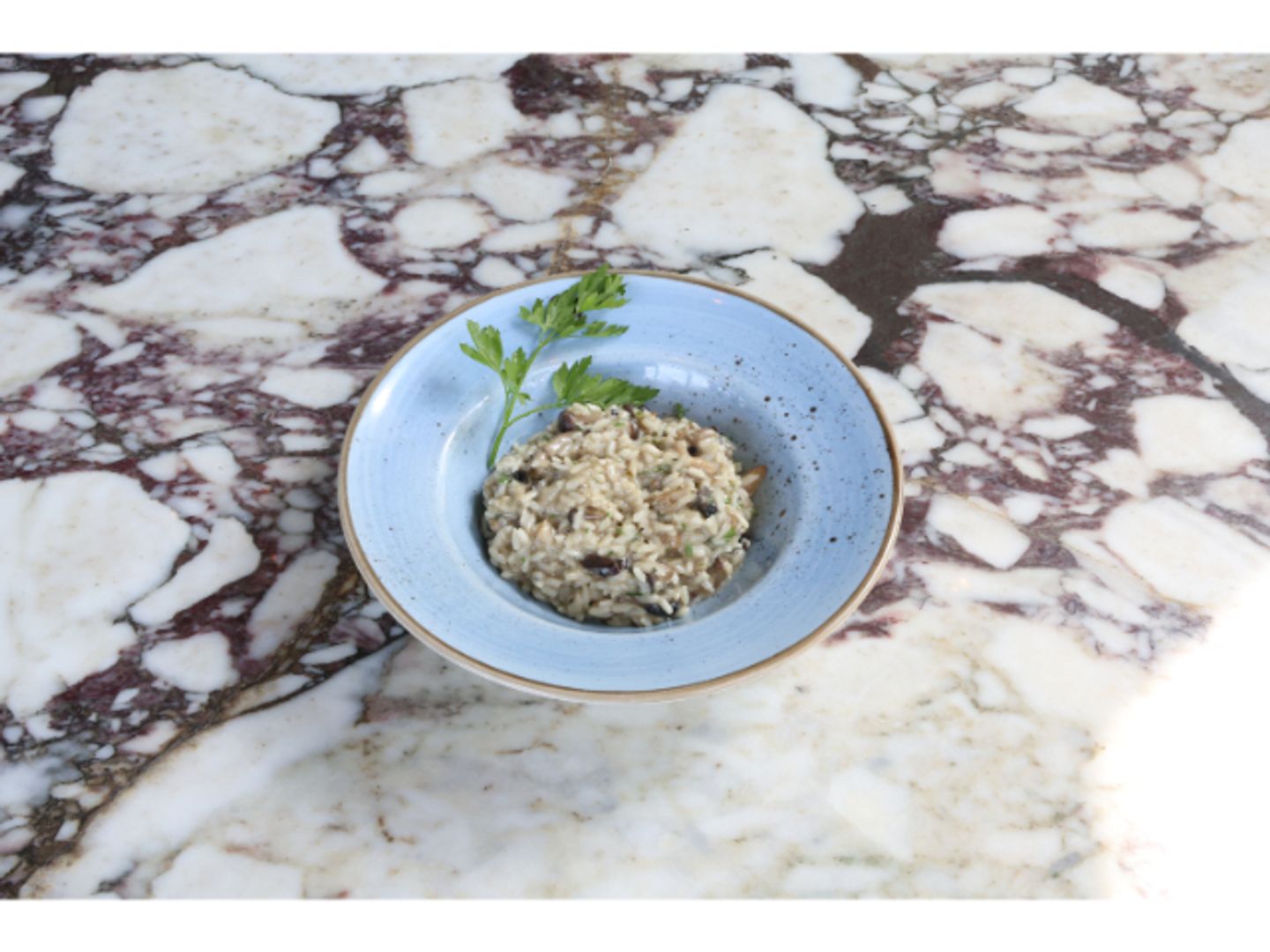 Risotto With Mushroom