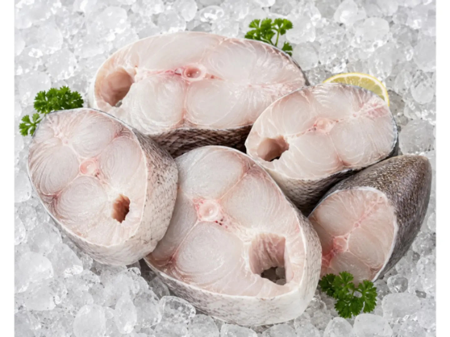 Mackerels