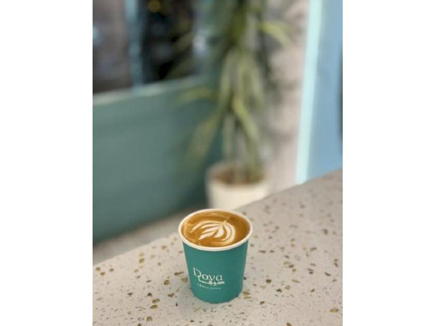 Cortado