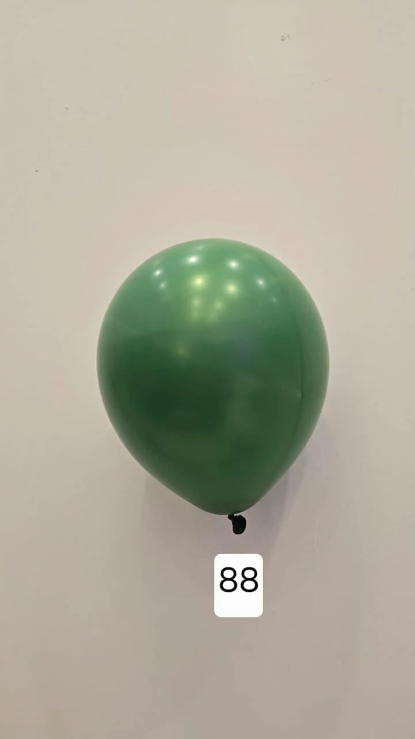 Balloon Number 88