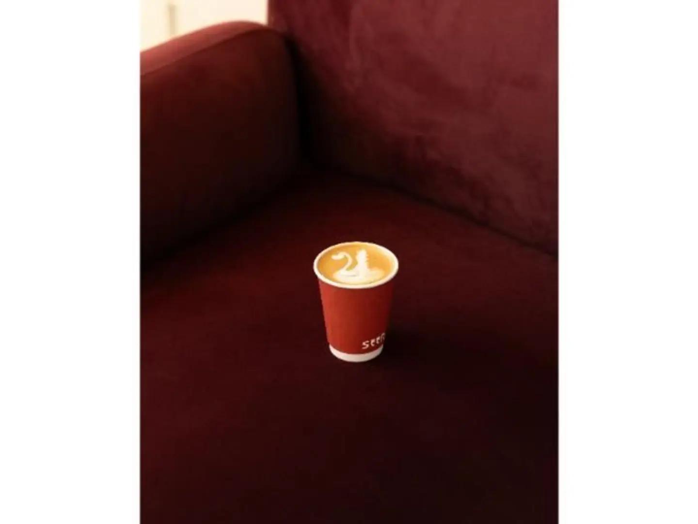 فلات وايت