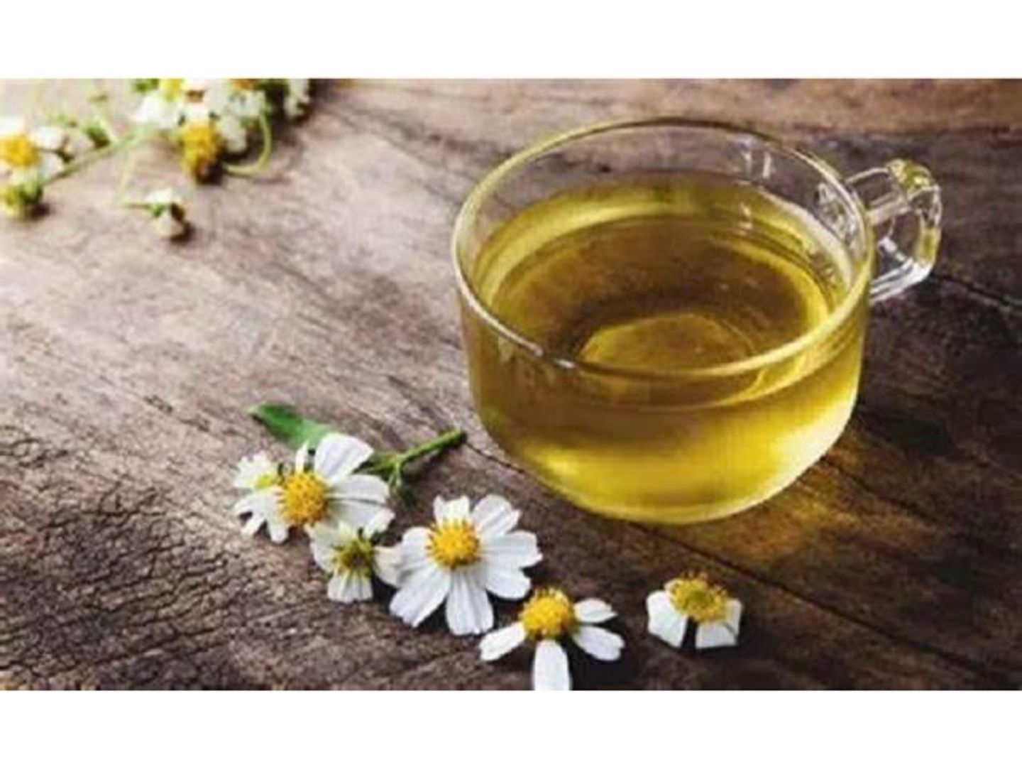 شاي ينسون