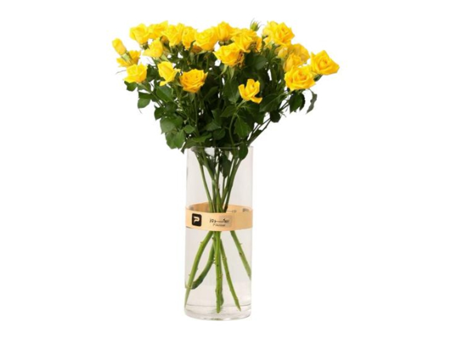 Yellow Baby Rose Vase