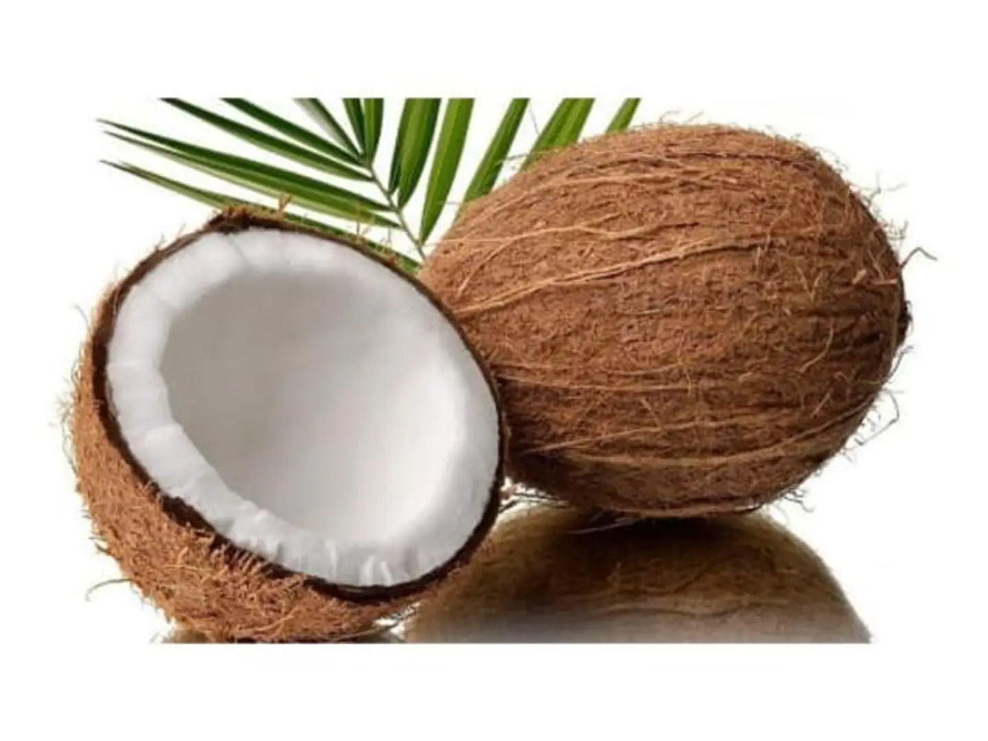 Coconut 1pieces