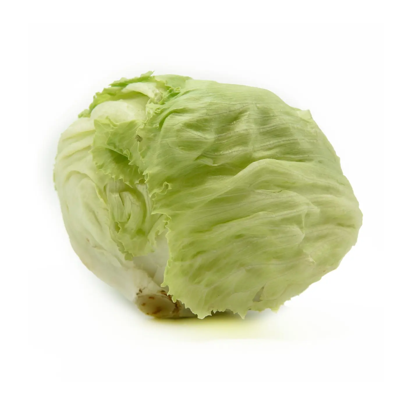 ملفوف محشي كبير حبه