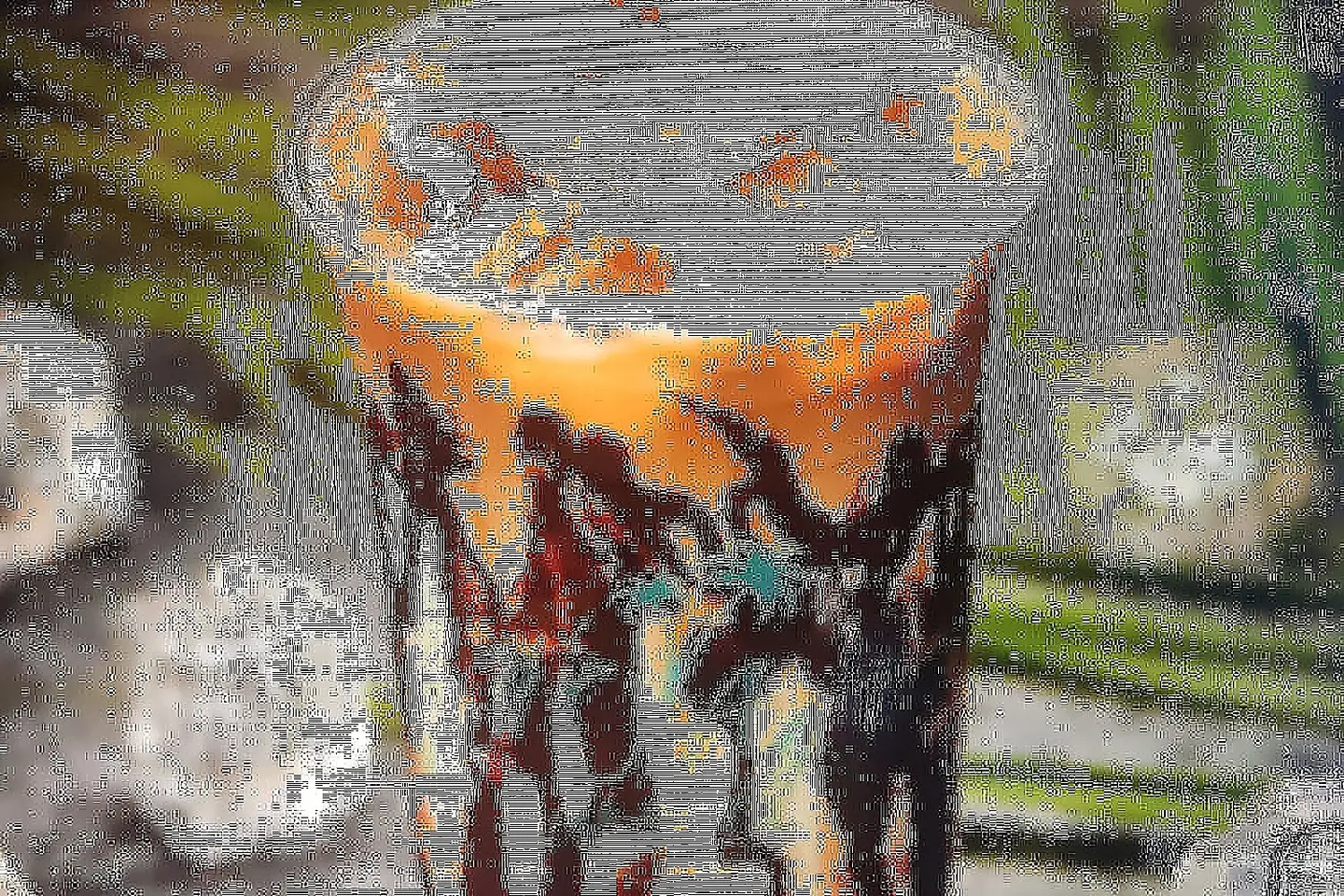 Iced Mocha