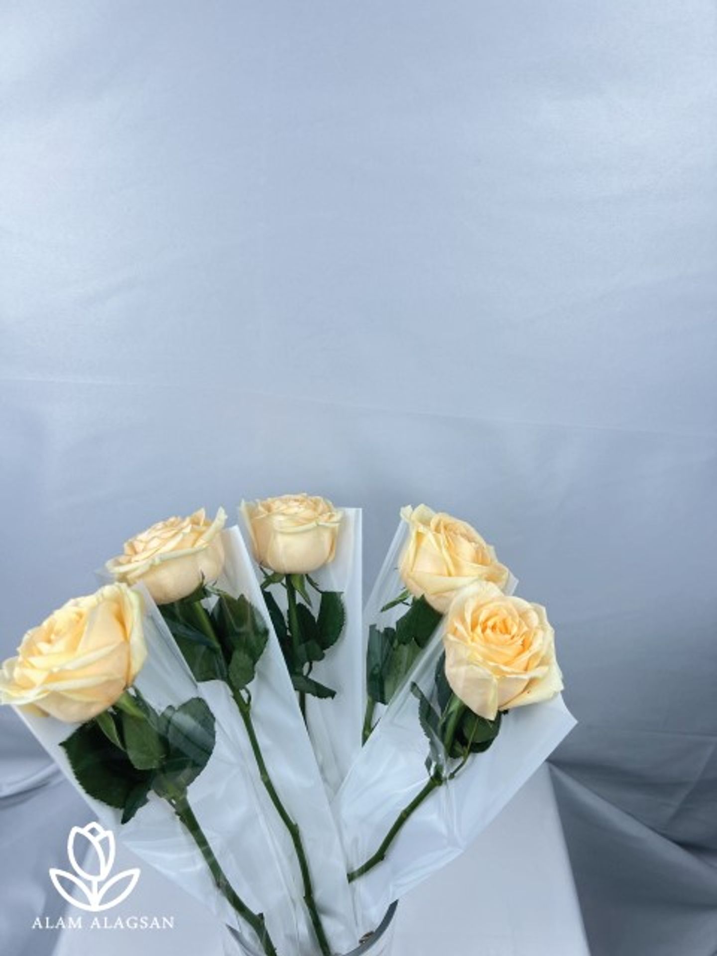 ورد سنقل(5)1011